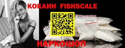 индика Гусь-Хрустальный