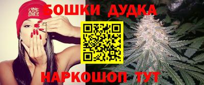 индика Гусь-Хрустальный